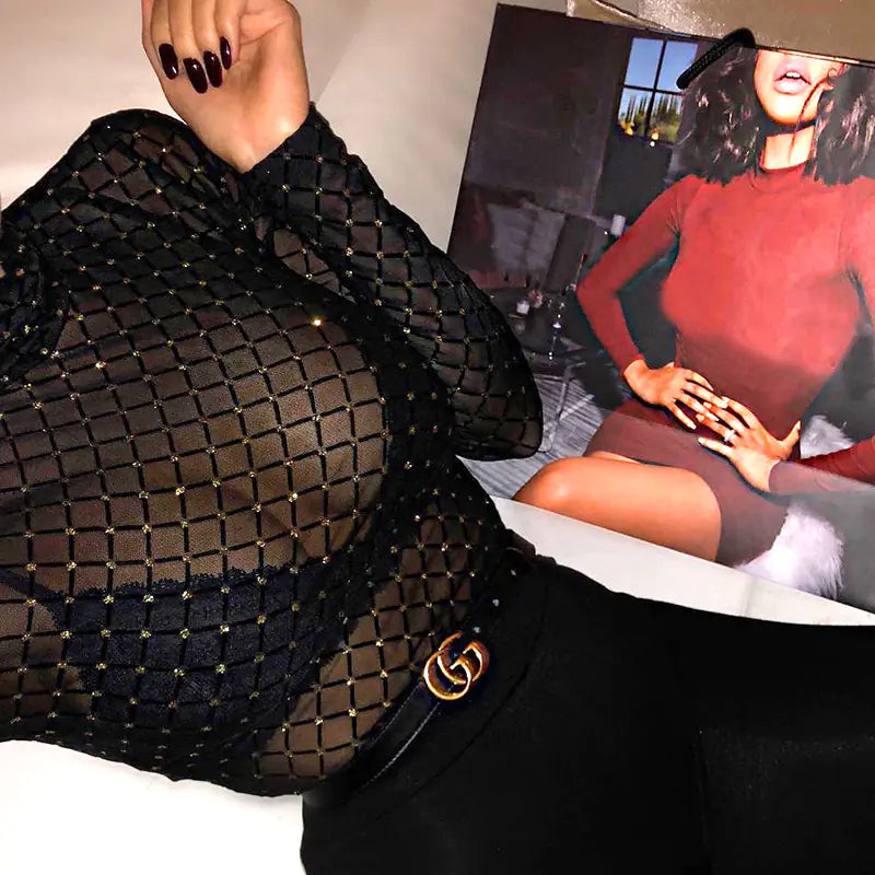 Elegant Sheer Turtleneck Blouse