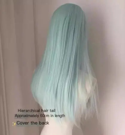 Elegant Long Straight Lace Wig