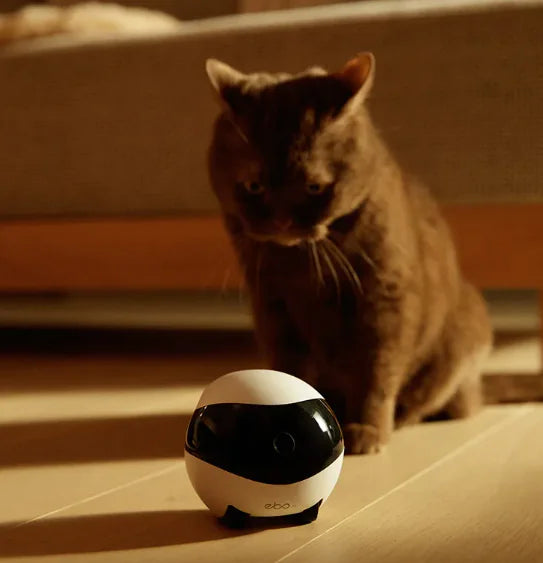 Smart Home Interactive Robot - EBO Series