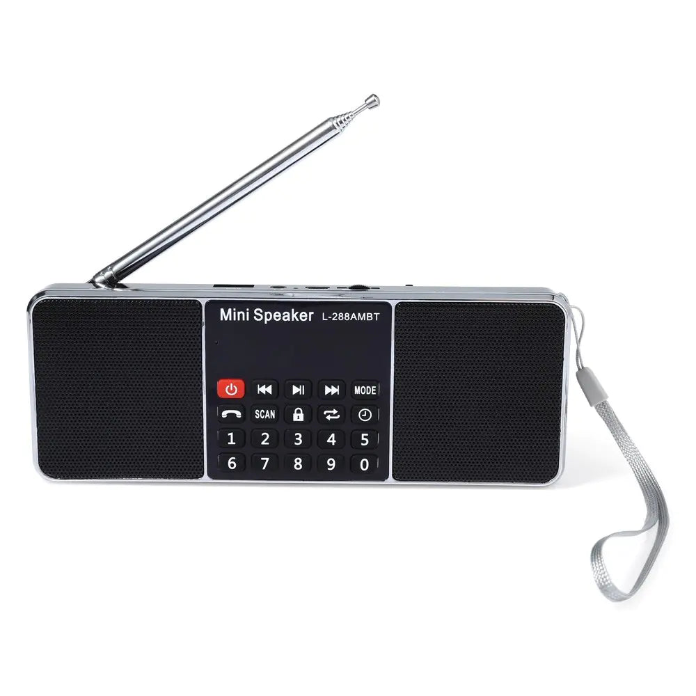 Bluetooth Multi-Input Speaker