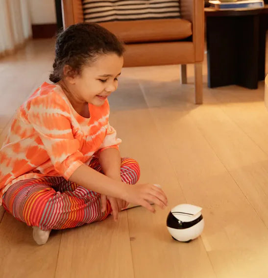 Smart Home Interactive Robot - EBO Series