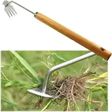 Root Ranger Weed Eliminator